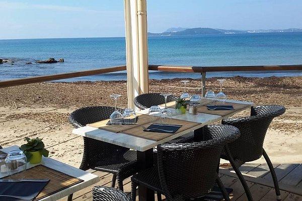 THE 10 BEST <b>Restaurants</b> in Le Pradet (Updated February 2025)