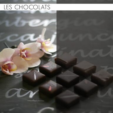 les chocolats de Camprini Meilleur Ouvrier de France chocolatier
